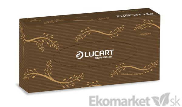 Eko - kozmetické kapesníky 2 vrstvové LUCART 100 ks