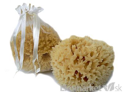 Prírodná morská hubka pre deti 8 - 9 cm